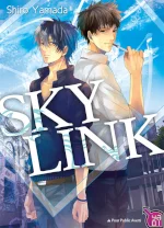 sky link yamada shiro