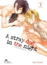 a stray dog in the night 3 nobara aiko
