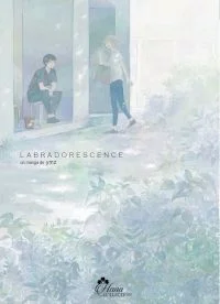 labradorescence ymz